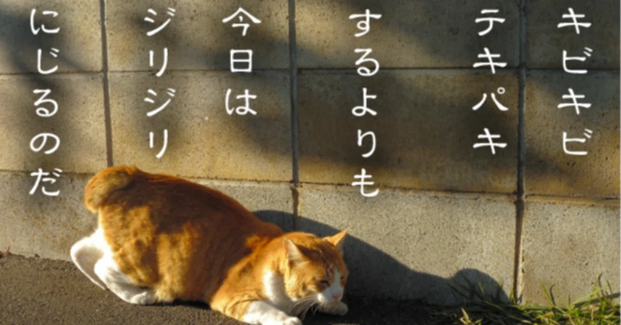 見出し画像
