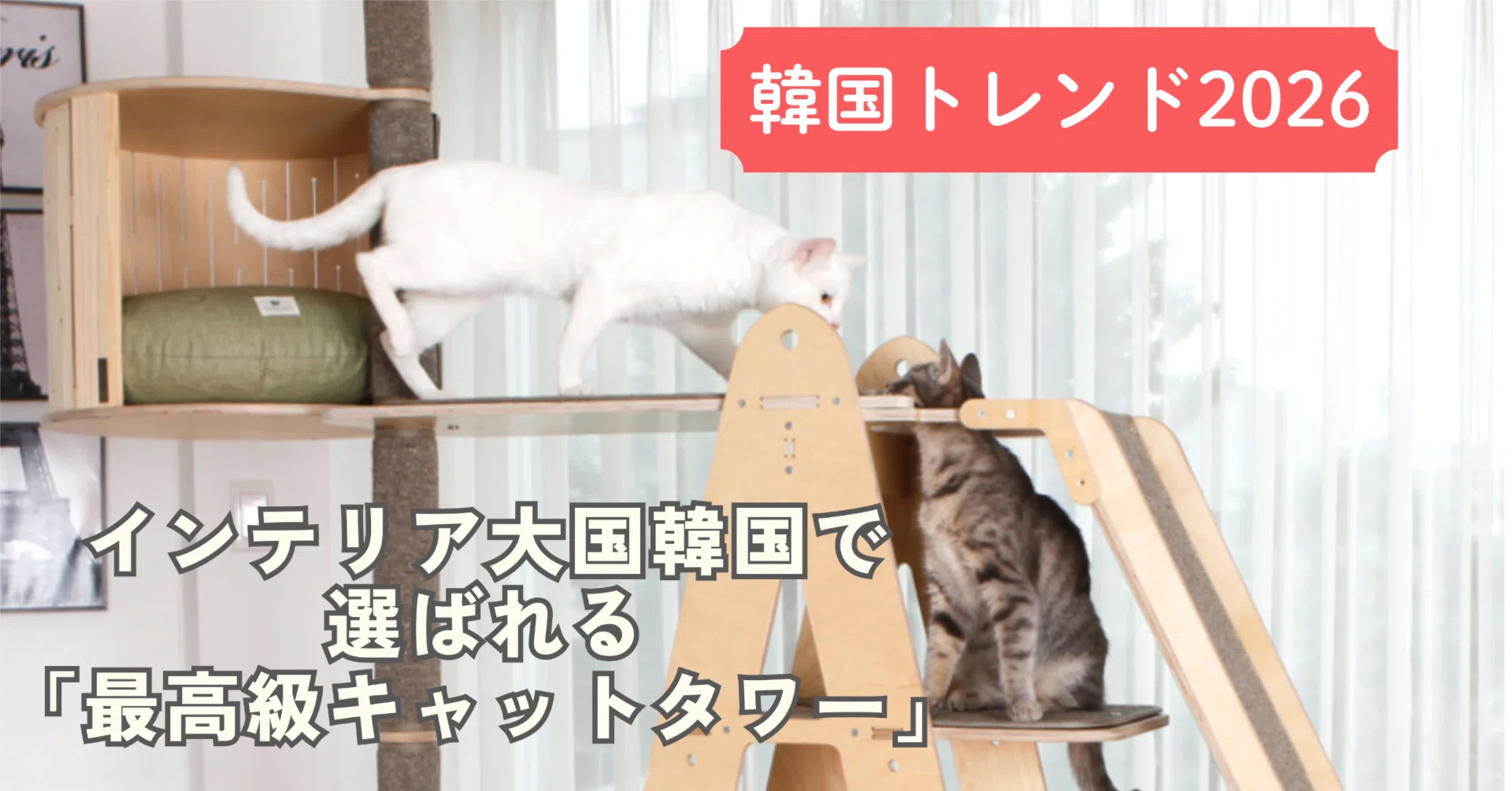 イイコレ! 2026トレンド】もはや芸術品。インテリア大国・韓国で選ば