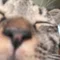 ウチュウノイチブ　ななしのえいと