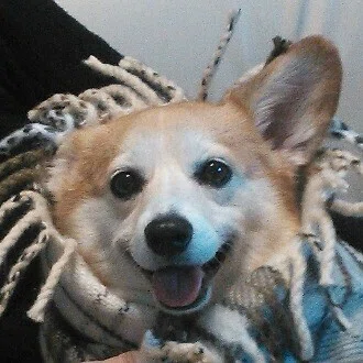 mika