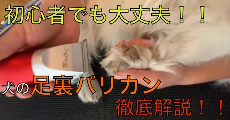 動画解説付き 完全初心者のための足裏バリカン ドッグライフサポーター 獅子パパ Note