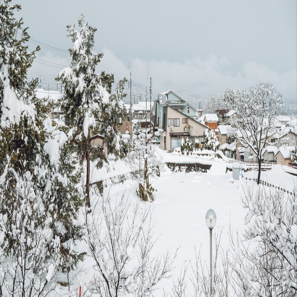 Zな年末年始｜幽霊のカメラ