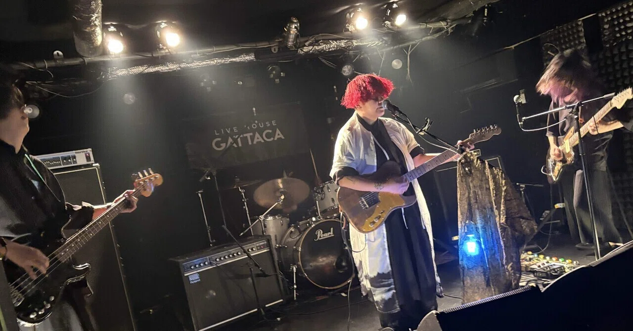 UKシューゲイザー/ドリーム・ポップの伝説的バンドPale Saints 4枚組 UKシューゲイザー/ドリーム・ポップの伝説的バンドPale Saints 4枚組