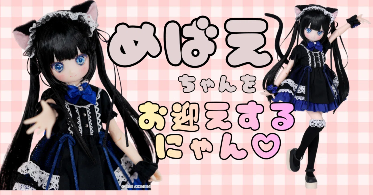 猫❣️猫❣️猫にまみれたいっ‼️にゃ〜ん‼️‼️黒猫めばえちゃん 