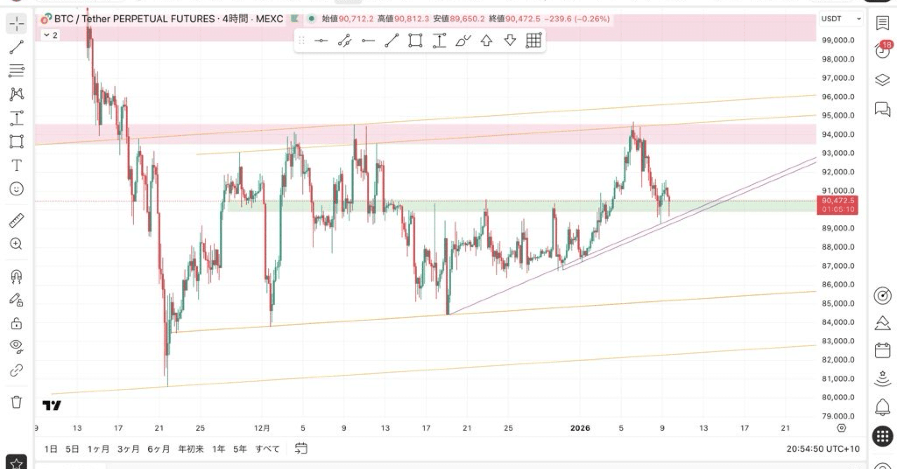 BTC 環境認識 1/9｜億り鶏
