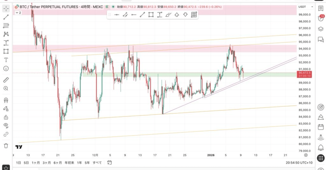 BTC 環境認識 1/9｜億り鶏