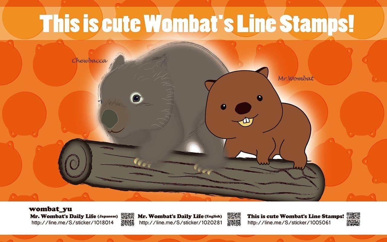 うぉんうぉんウォンバット氏 2月の壁紙できました Http Wombat Yu Com Wombat Wallpaper Present Wombat Yu Note