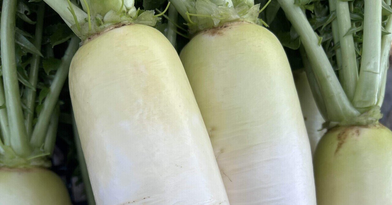 【ふろふき大根様専門ページ】 0a702015ea1ed8f5ba41a59f01d04a