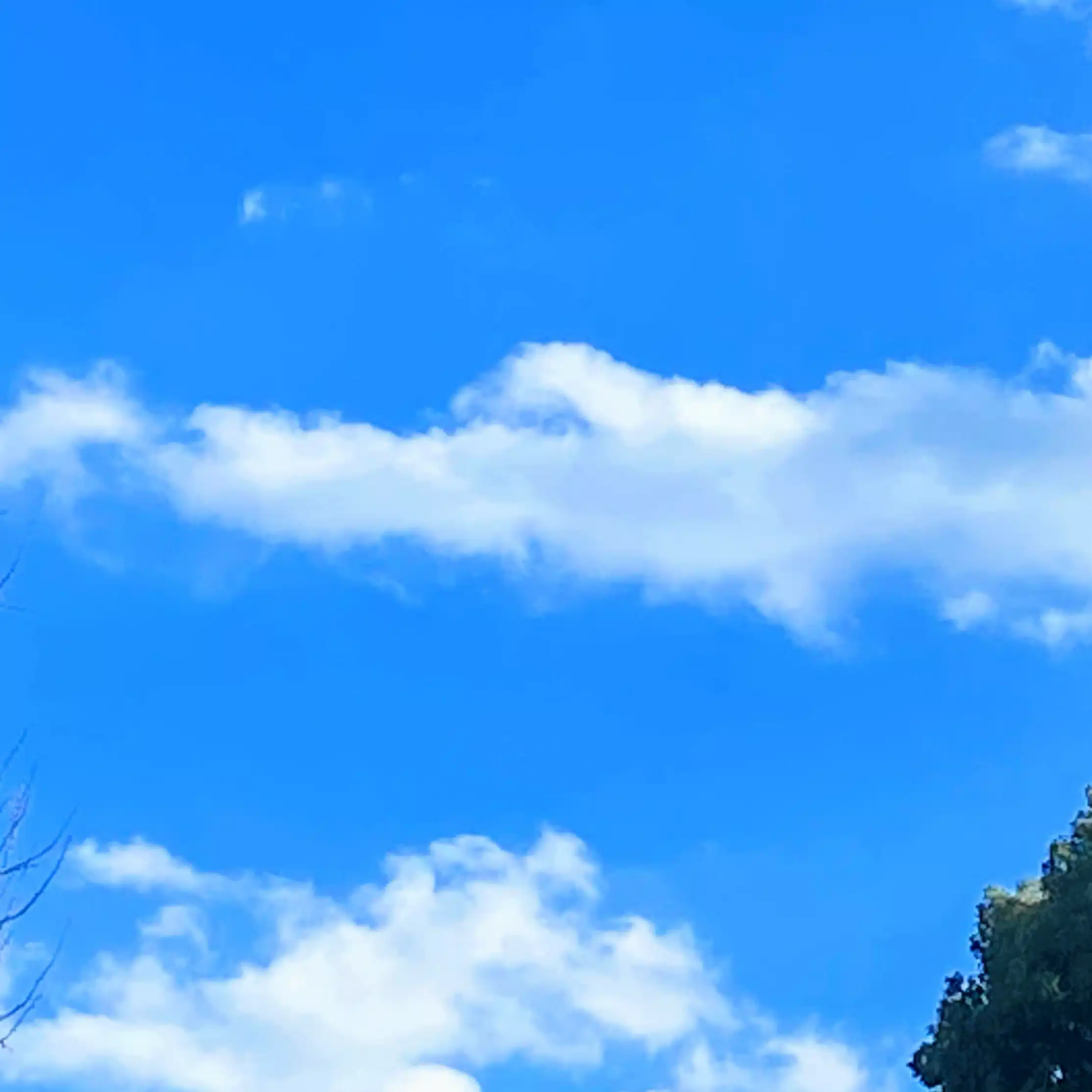 motada