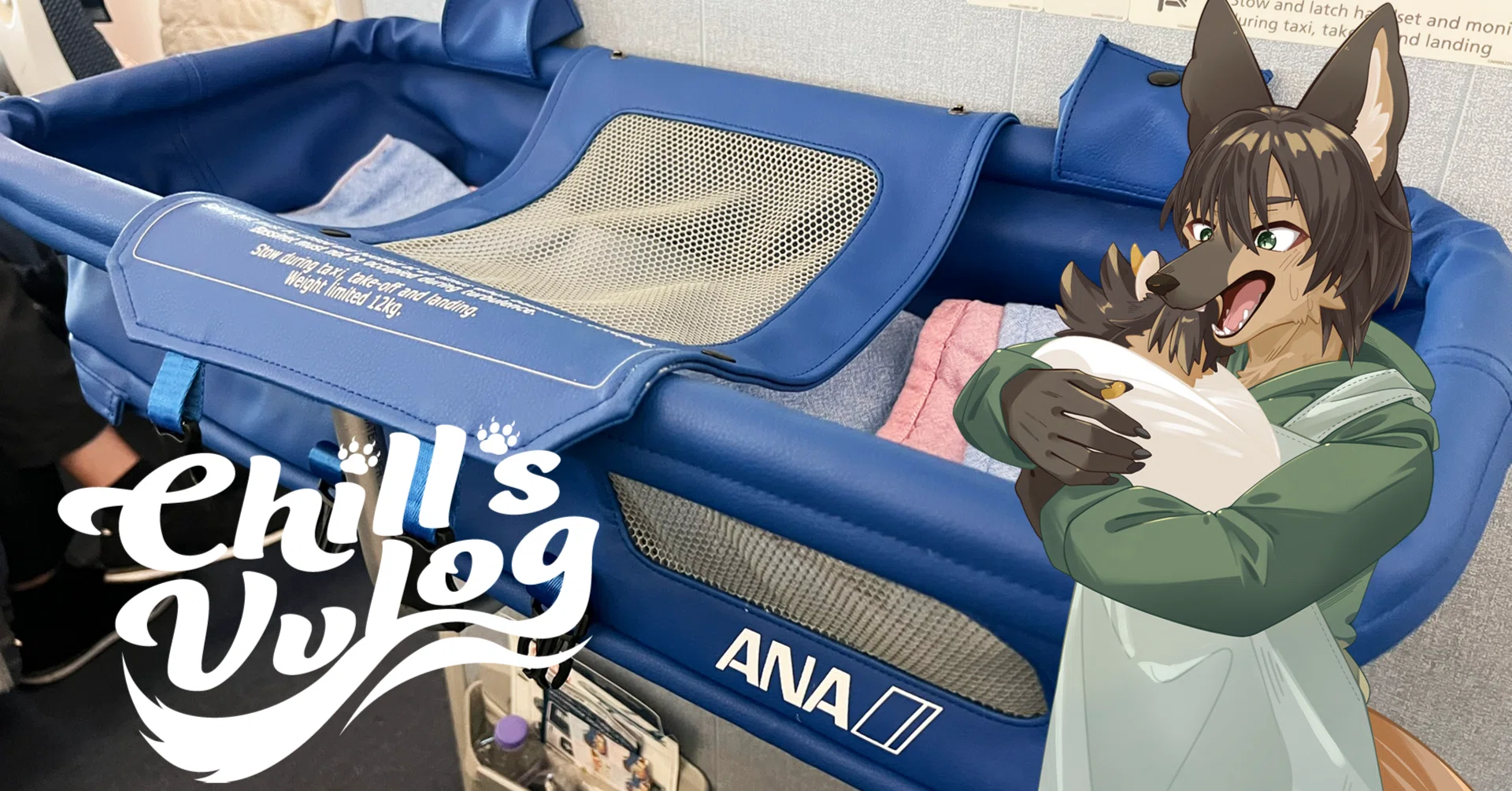 ANA株主優待 tak様専用 ログイン方法 | 株主・投資家情報 | ANAグループ