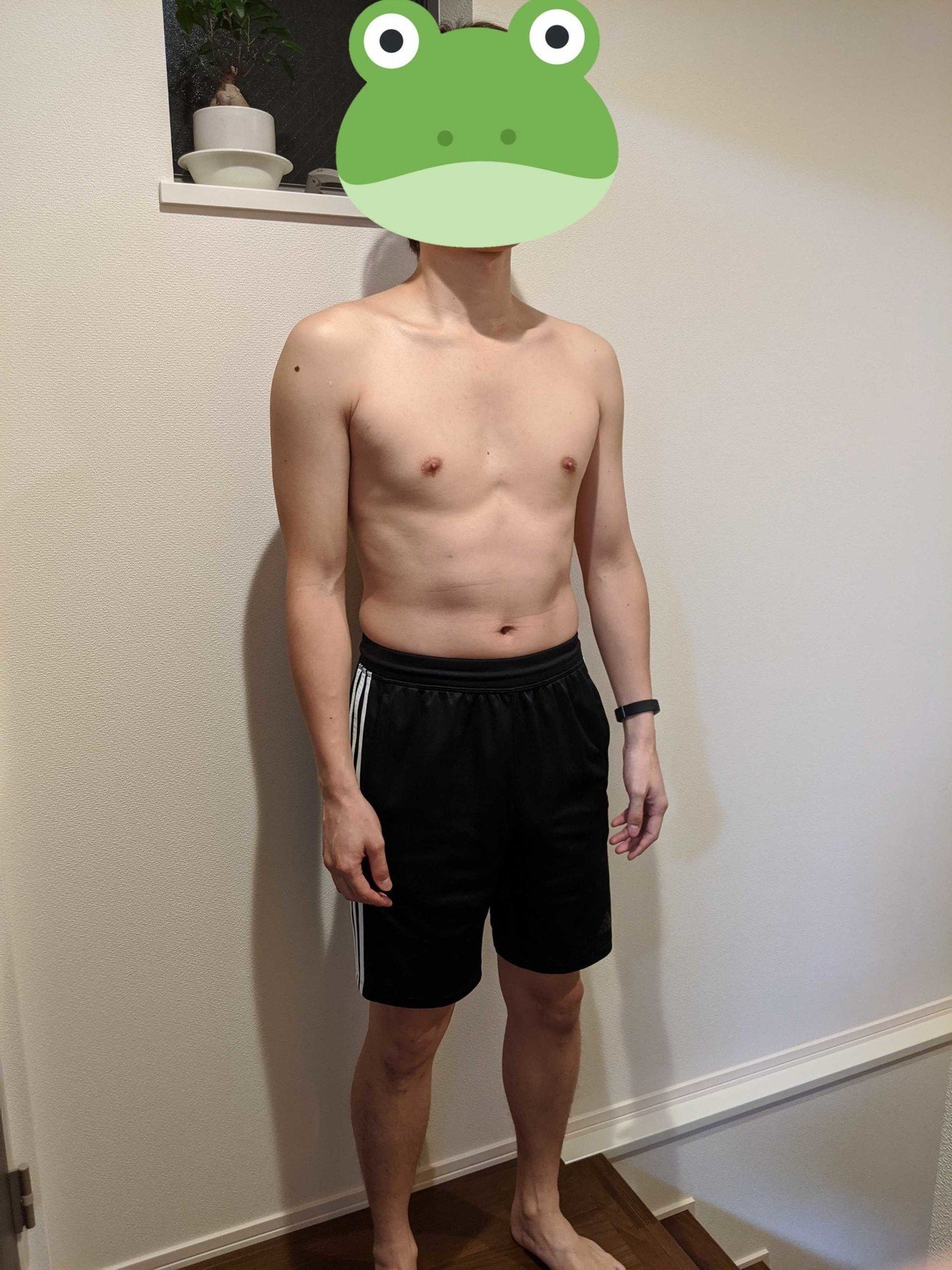 この腹の3ヶ月後｜Toshinori Sugita