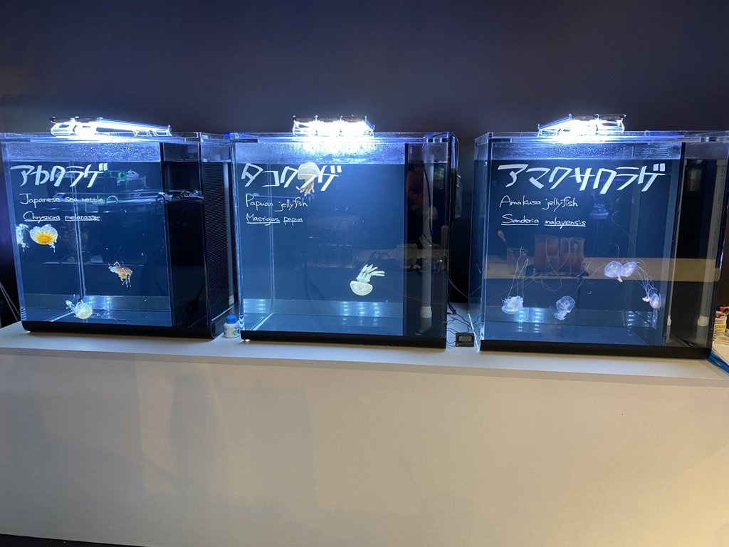 ダイオウグソクムシ Note ダイオウグソクムシ Note
