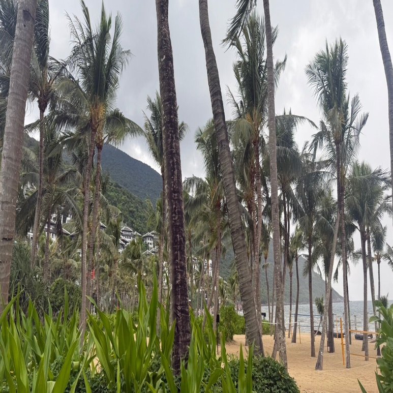 クレジットデリバティブ（CDS）の価格から倒産確率を求める｜academiaou