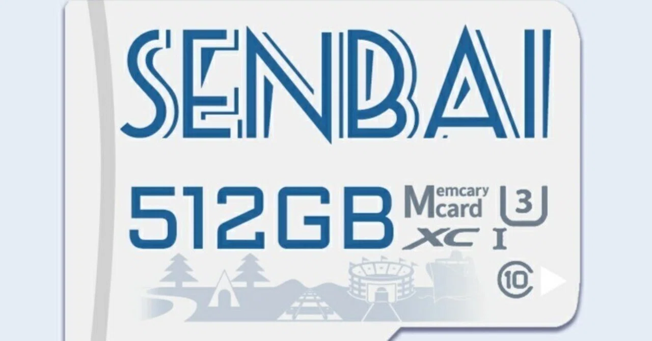 SENBAI】怪しげなデザインの安いmicroSDカード (512GB Class10 UHS-I