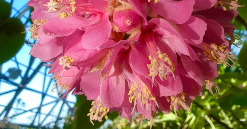 本日のスタッフのおすすめ