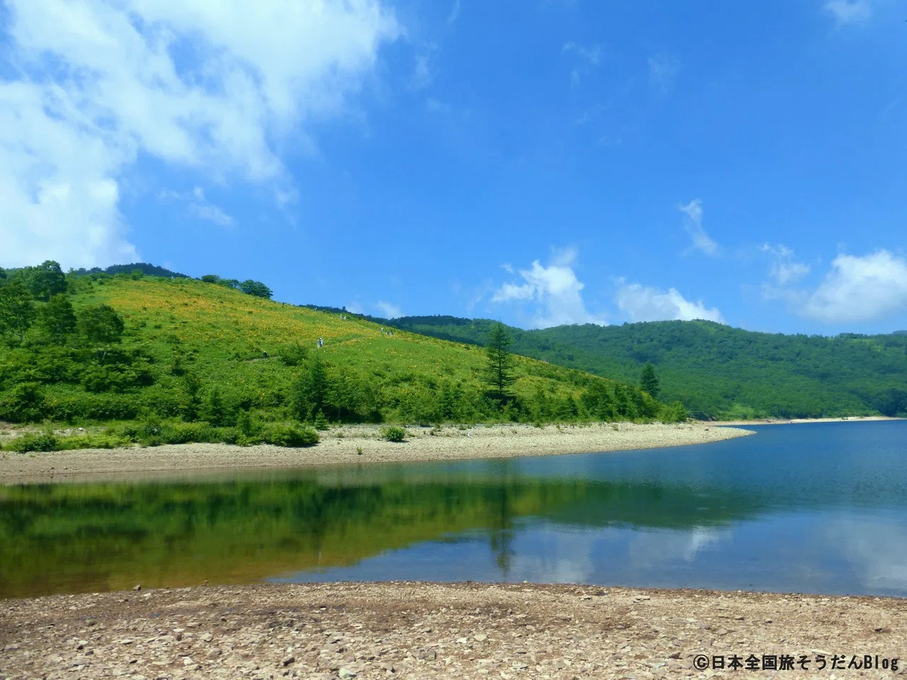 初夏を彩るニッコウキスゲの群落と天辺に浮かぶ碧き湖！群馬県のお