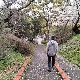 ふくきた｜才気道 家元