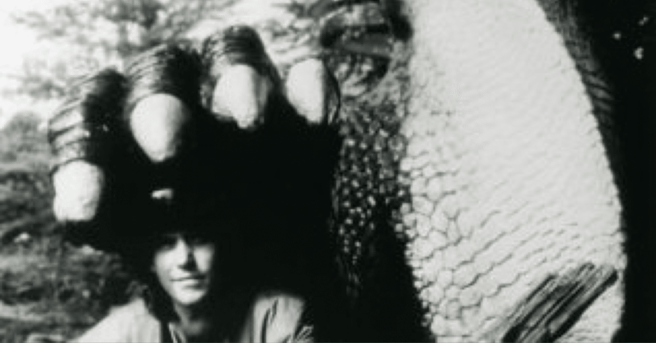 The Orb「U.F.Orb」｜re:Sonance