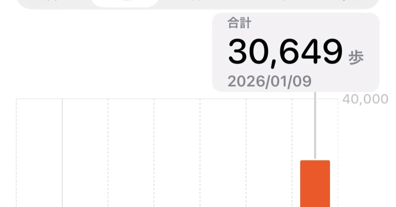 3万歩歩いたけど最高だった！1年ぶりのディズニーシーで学んだ攻略メモ