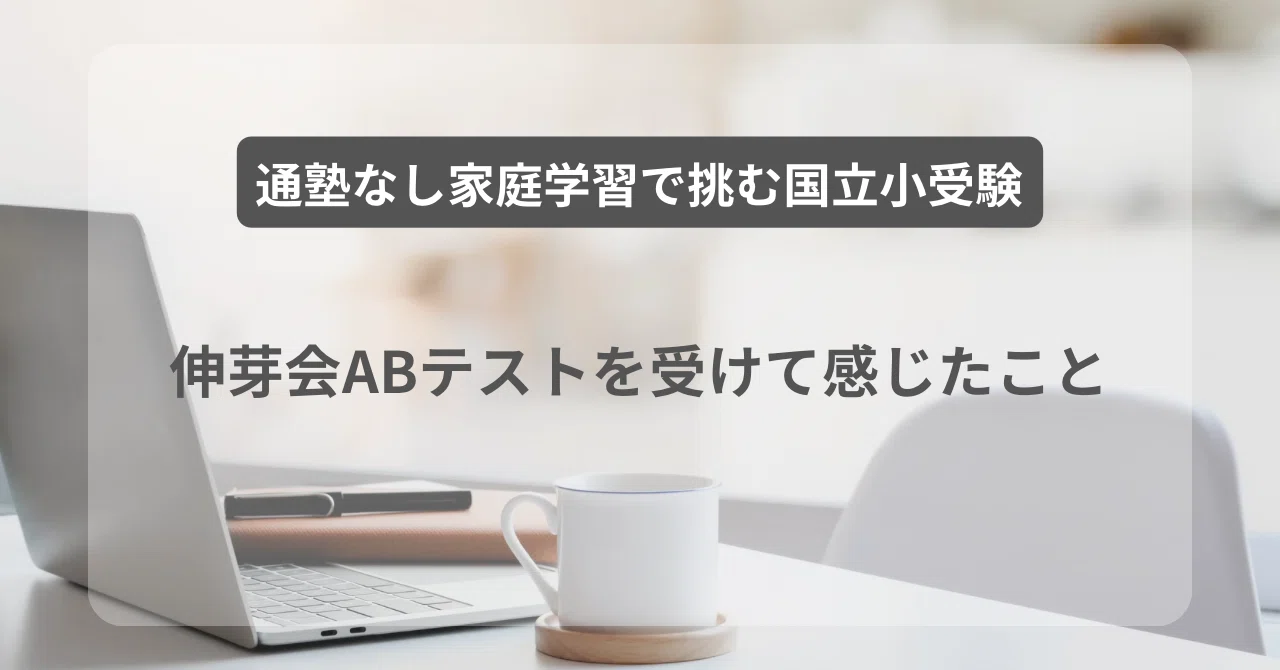 伸芽会 しんが会 家庭でできる 年中テスト1～4 基礎編AB 完成編AB