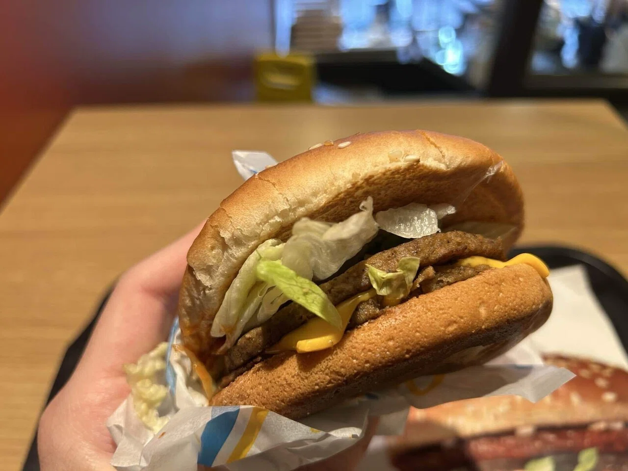 14 トルコ🇹🇷【私が見た世界のマクドナルド🍔】｜j_notes
