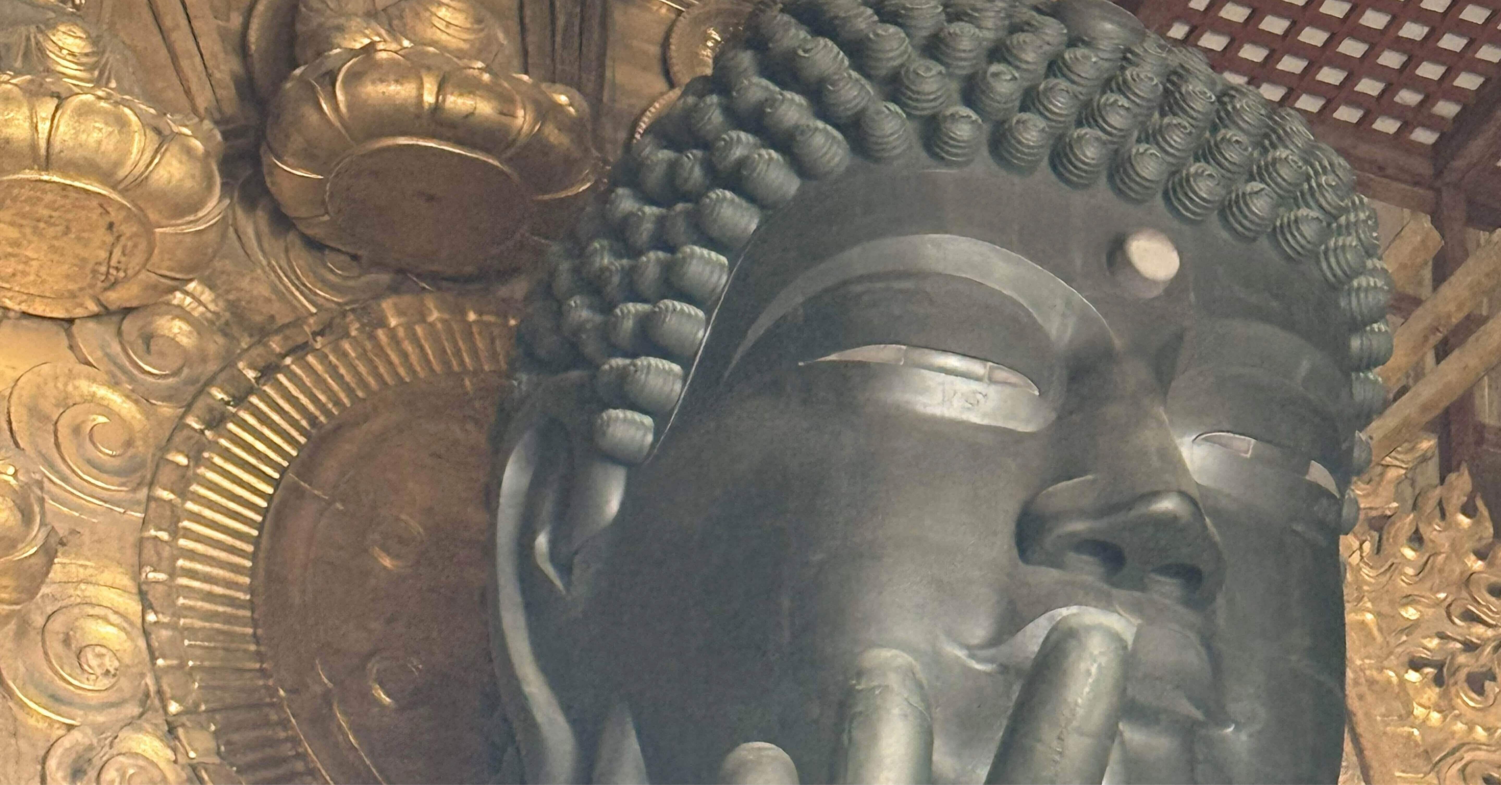 東大寺 奈良の大仏さまの 蓮華座 クリップ｜咲良 桜子