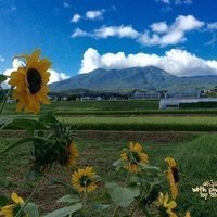 宇多嶋翔の写真が輝く日