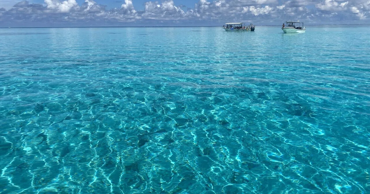 https://assets.st-note.com/production/uploads/images/242800892/rectangle_large_type_2_51735a80d365f7aca0a7df7041693d30.jpg?width=1280