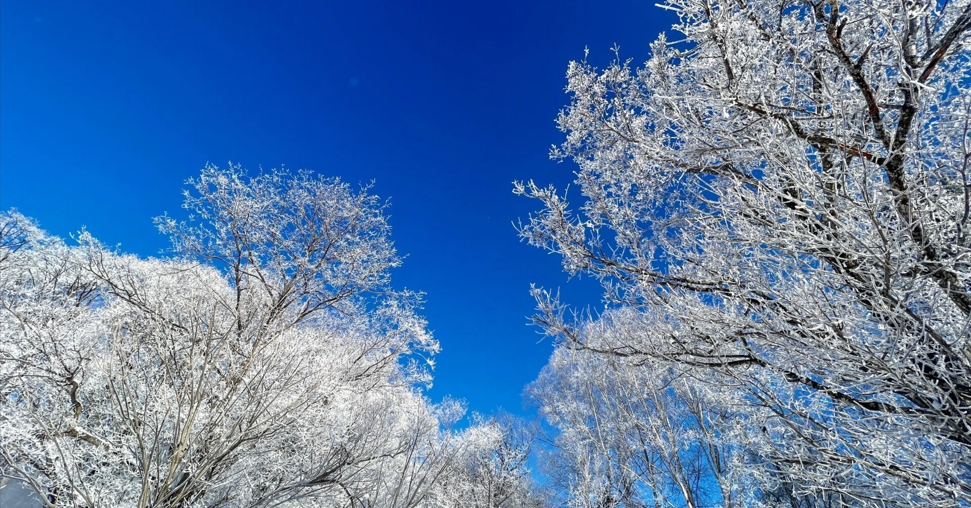 北海道】阿寒湖温泉の霧氷に出会う朝｜つるが（鶴雅）チャンネル