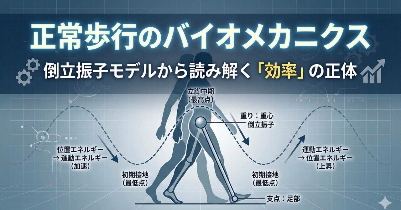 正常歩行のバイオメカニクス倒立振子モデルから読み解く「効率」の正体