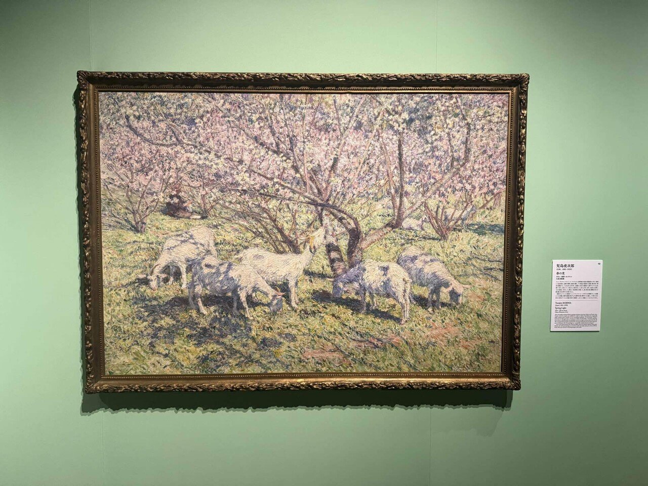 美術館レビュー#2｜児島虎次郎に寄せて｜大原美術館誕生の軌跡｜らん