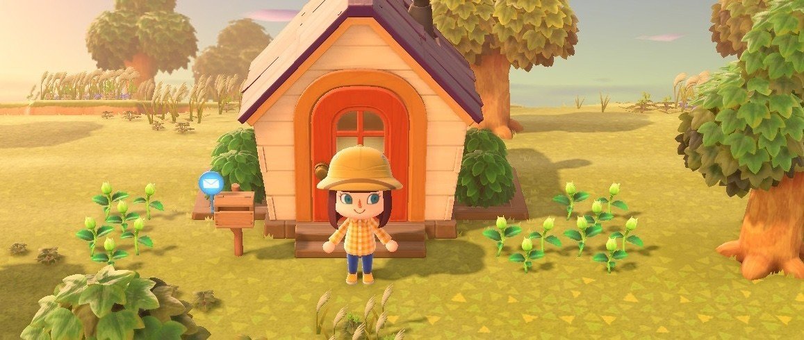 3日目〜あつまれどうぶつの森プレイ日記：念願のマイホーム