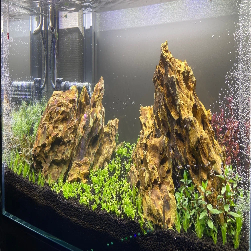 アクアリウム】60cm水槽ミスト式管理〜注水まで｜たけのこ@サイドFIRE