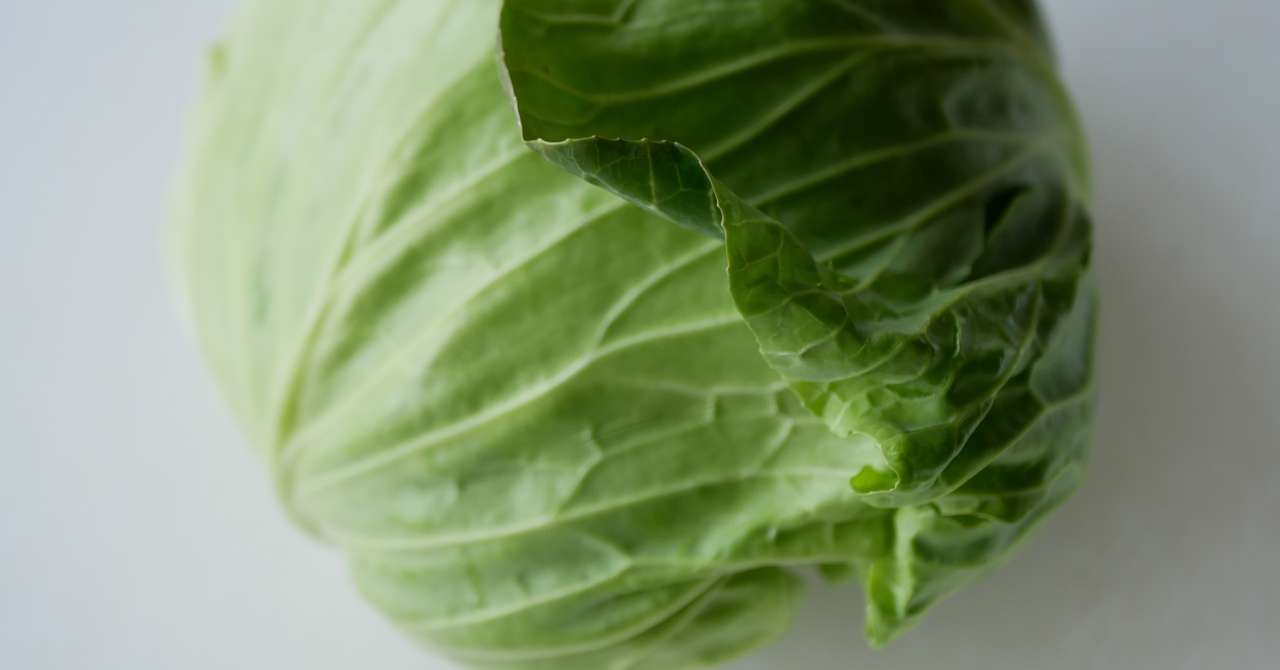 キャベツのスープに一生困らない選 有賀 薫 Note