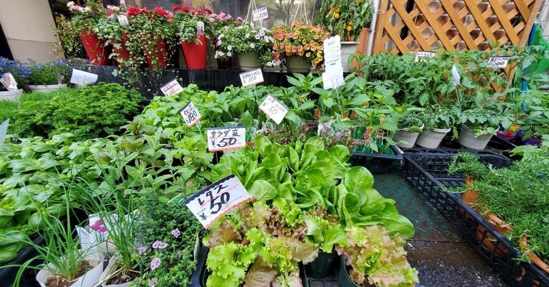 おしゃれな花屋には野菜の苗は売ってないのよ 都内は特にね あめ Note おしゃれな花屋には野菜の苗は売ってないのよ 都内は特にね あめ Note