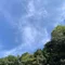 違和感を拾う人(けだま)