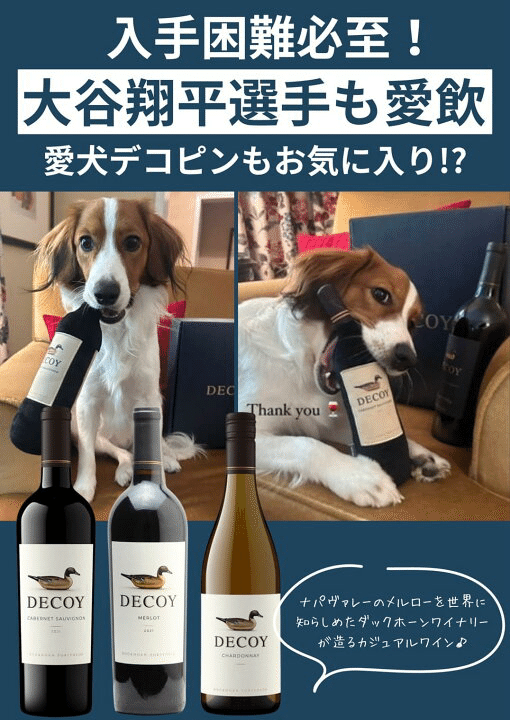 大谷翔平のインスタで話題になったワイン飲みました🍷｜堀さん