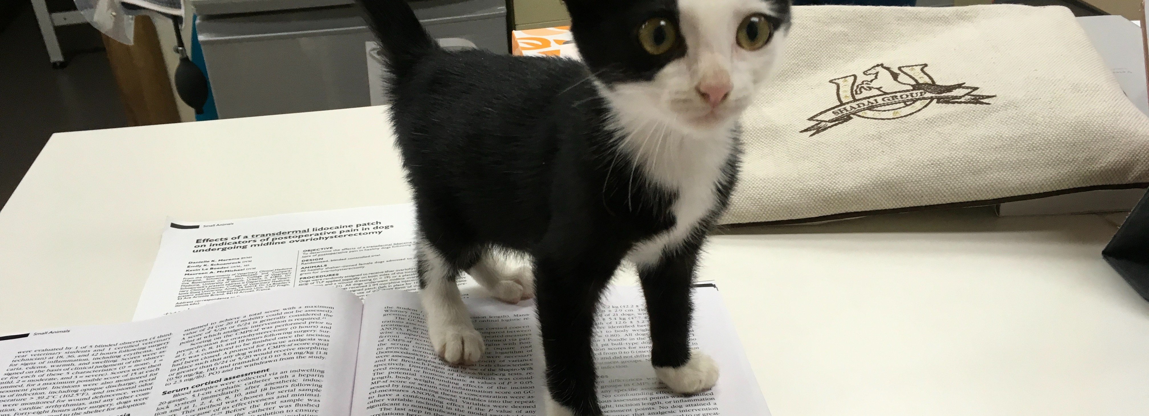 獣医師ふー：獣医中毒情報ポータル（JVPIP）｜note