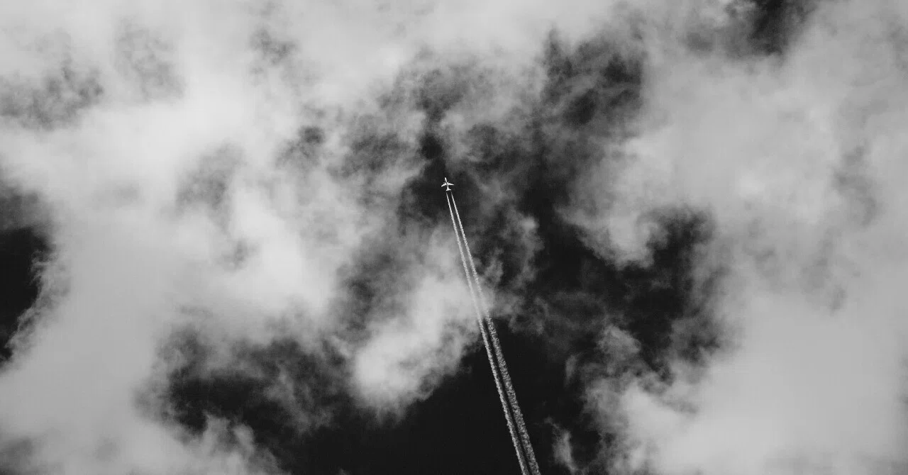 あの飛行機雲は想像よりも遥か遠くの空に浮かんでた｜夏と放し飼い