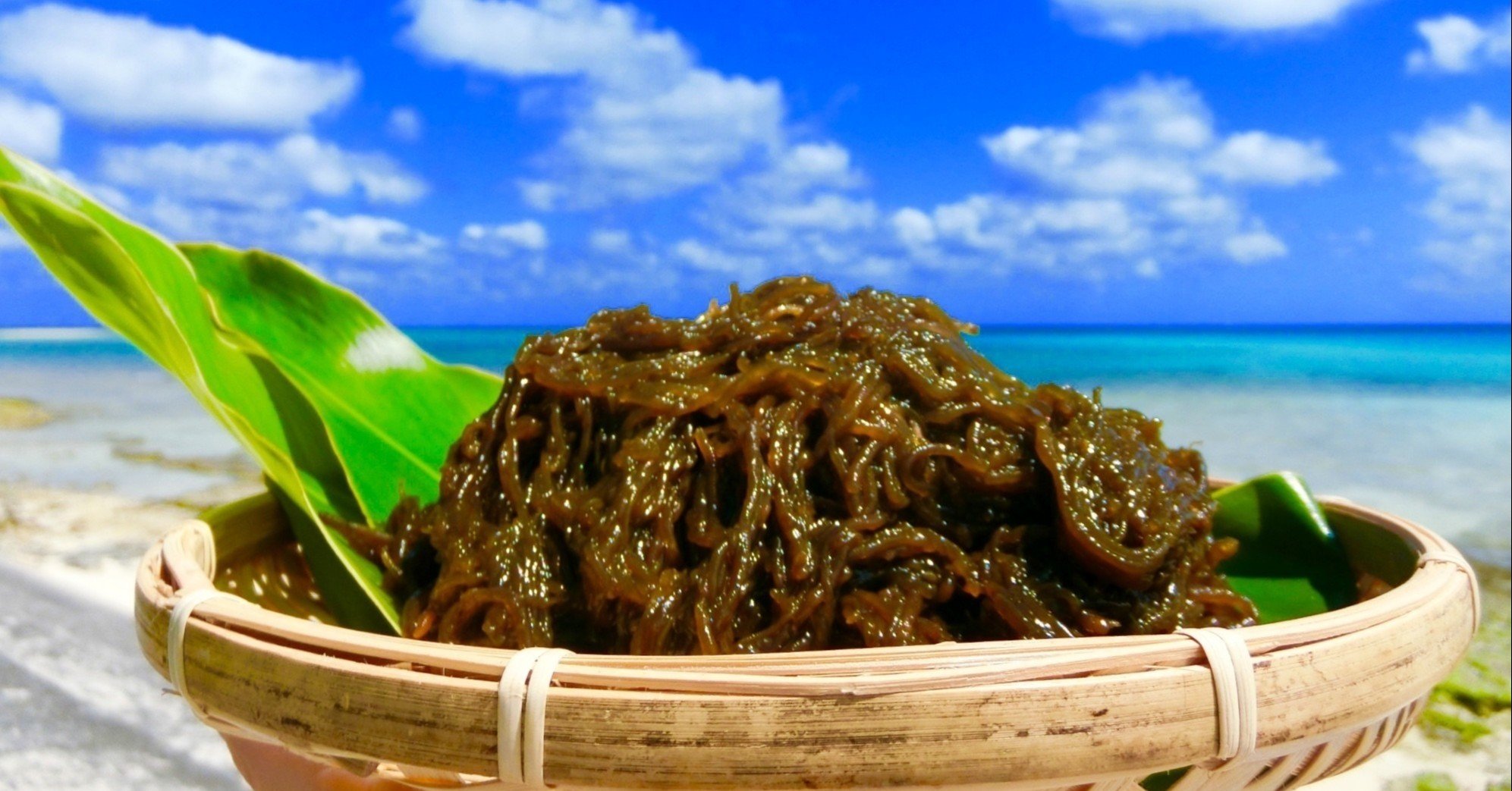 お風呂上がりの もずく酢 はいいぞ りぃな Note