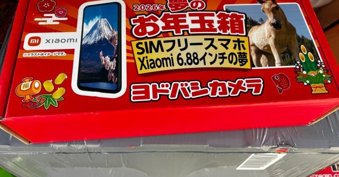 本日見つけたお値打ち品】【2026年最新】ヨドバシ福袋「SIM