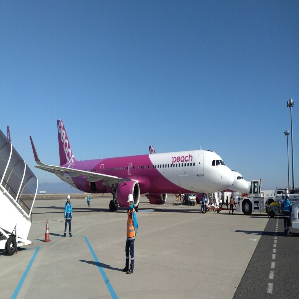 韓流旅行 韓国1泊2日極寒ツアー①（LCCでソウル入り）｜にった