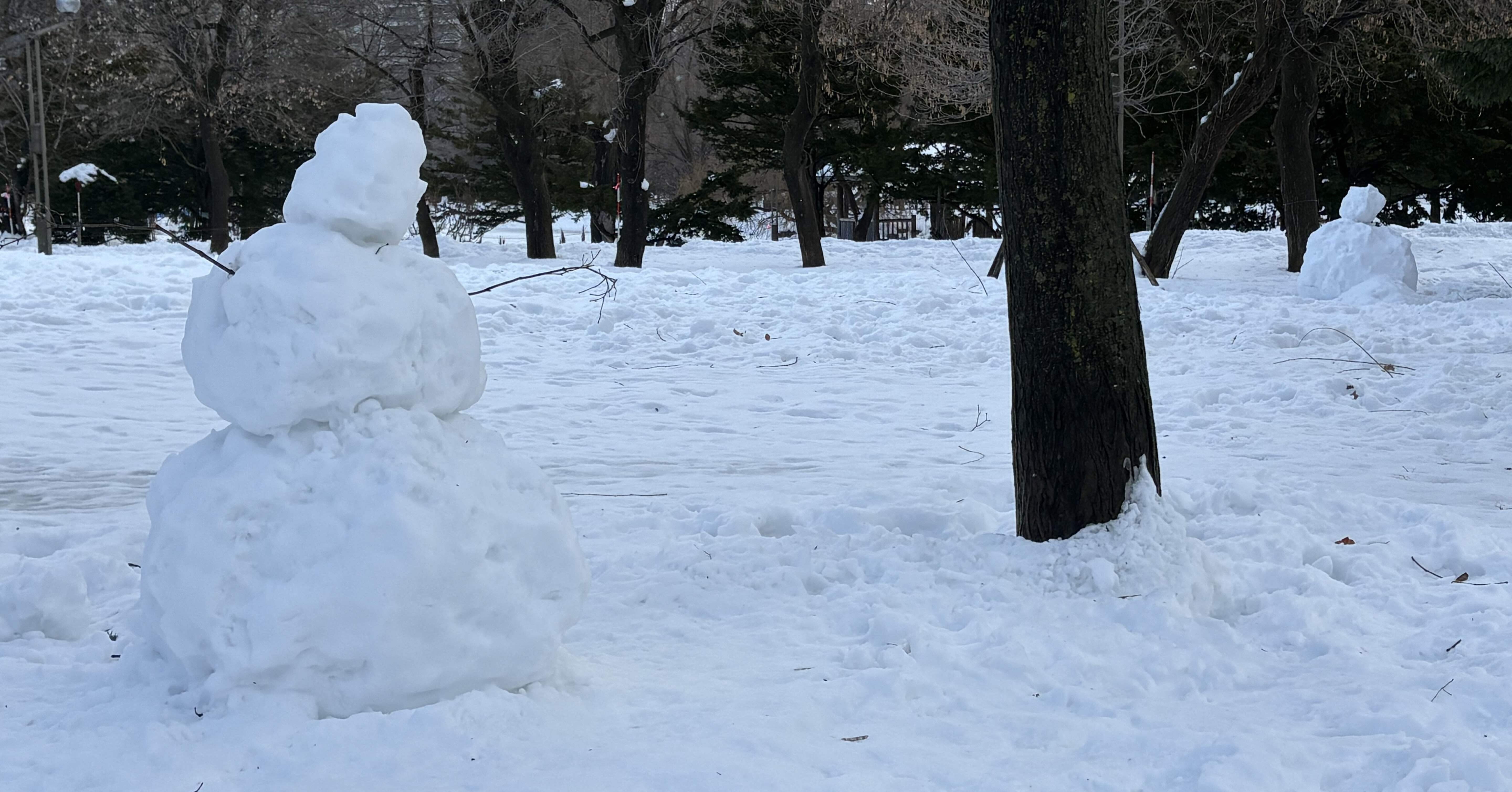 12日 雪だるま⛄️｜satukidohaiku_