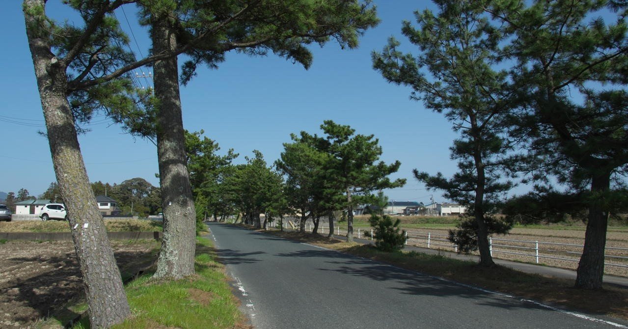 主語と述語は読解の基本 E V ジュニア Note