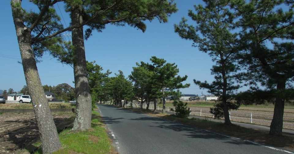 主語と述語は読解の基本 E V ジュニア Note