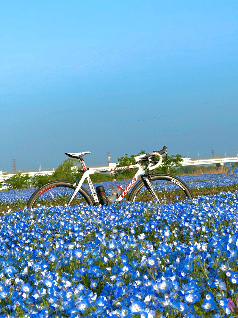 葛西臨海公園ゆるポタ 西川正治 Note