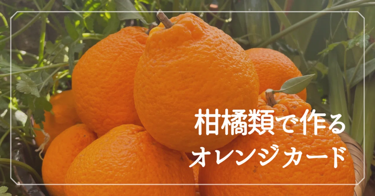 デコポンで作るオレンジカード? アフターヌーンティーのお供に｜bee 