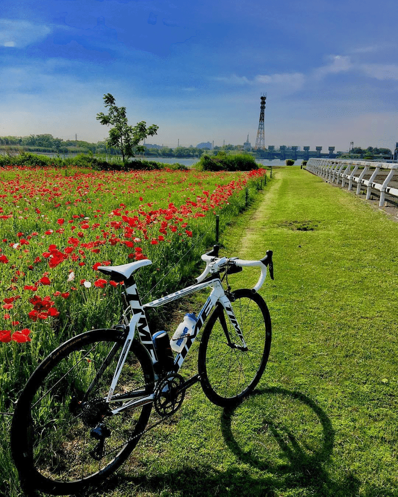 葛西臨海公園ゆるポタ 西川正治 Note