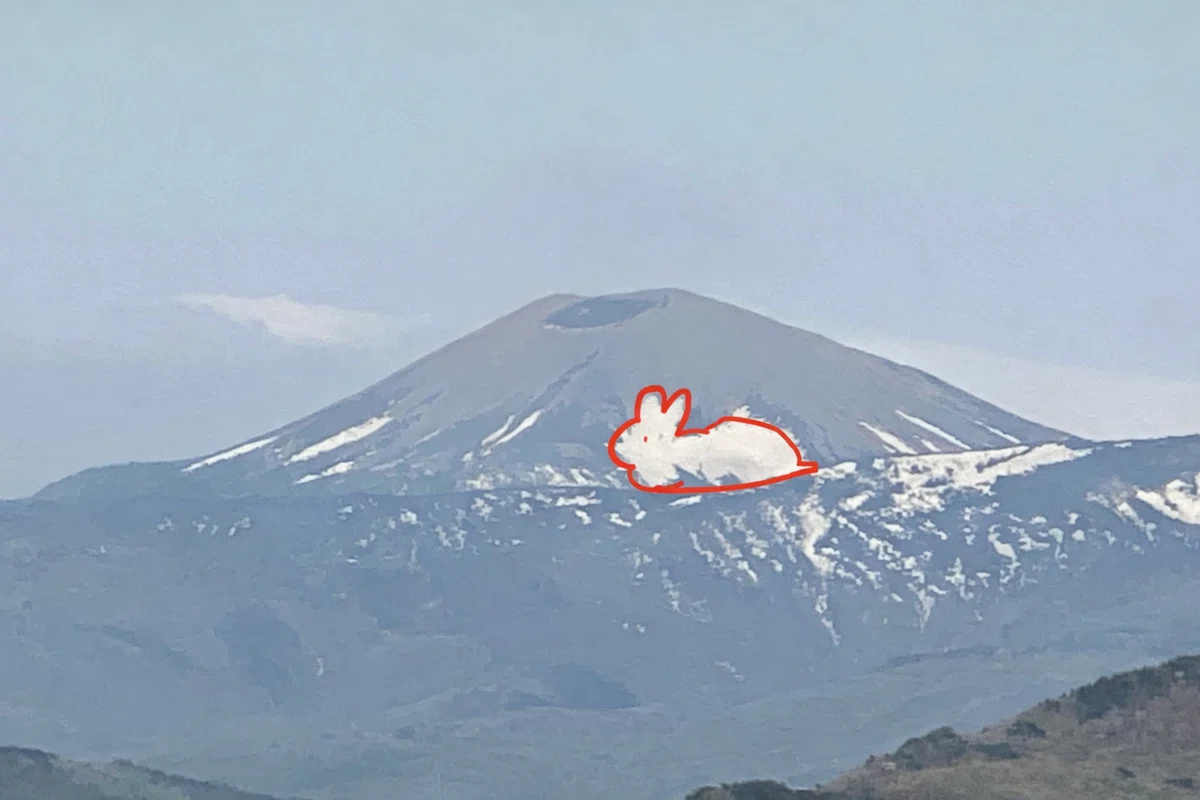吾妻山の雪うさぎ｜風船がむ助