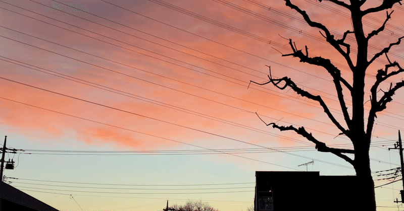 「わかる」を手放す勇気